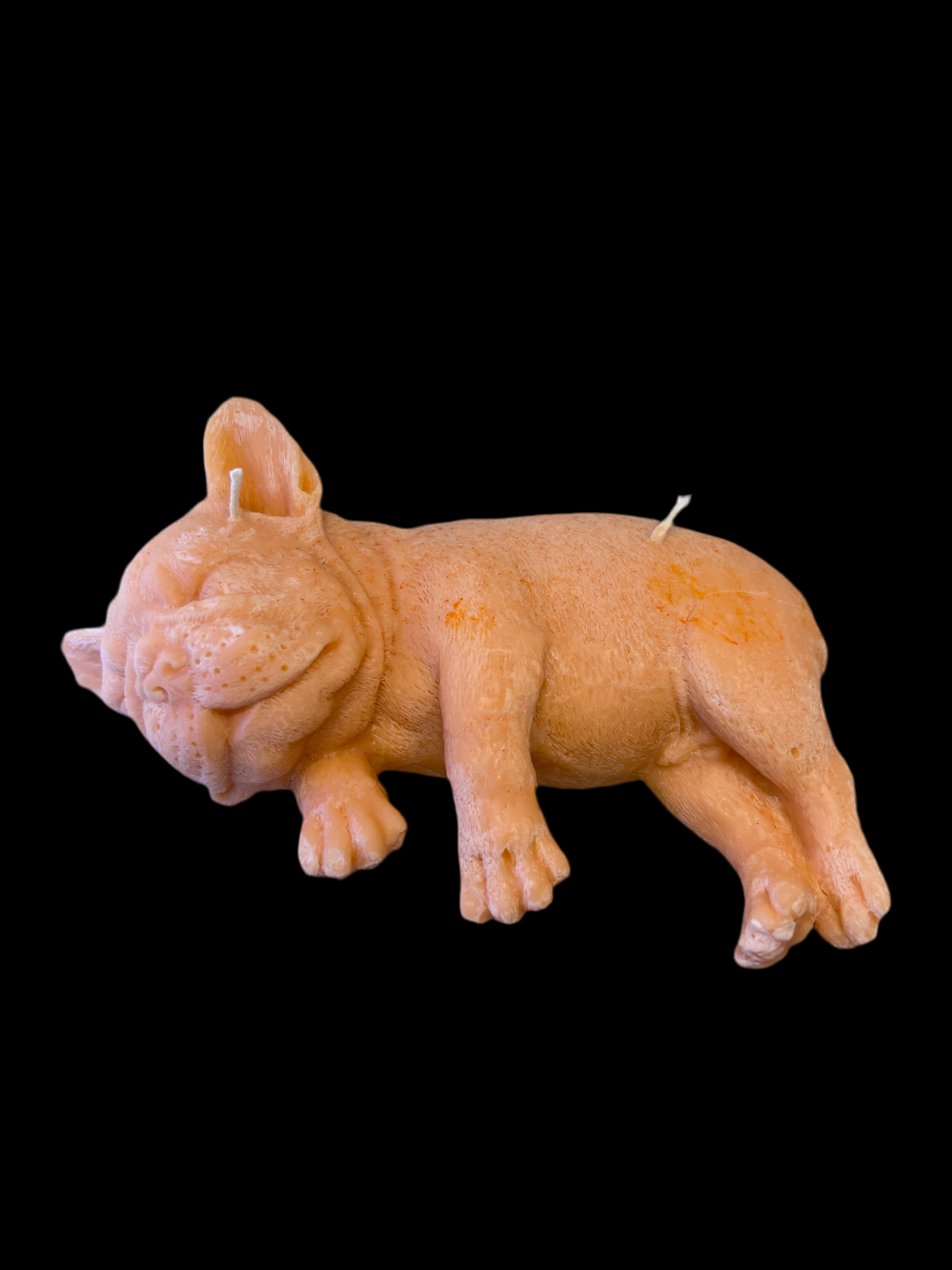 Dog soy wax Candle